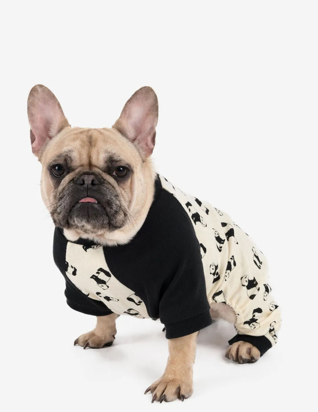 Dog Print Pajamas