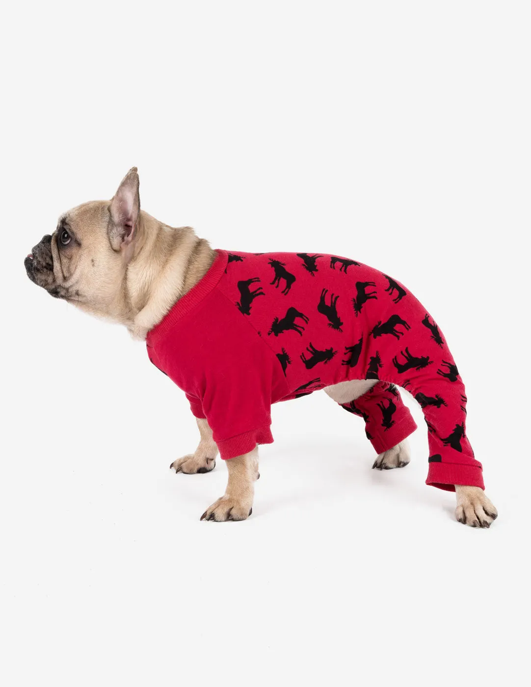 Dog Print Pajamas