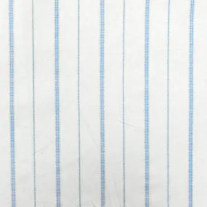 Snow White-Blue Stripe Printed Stretch Cotton Poplin Woven Fabric