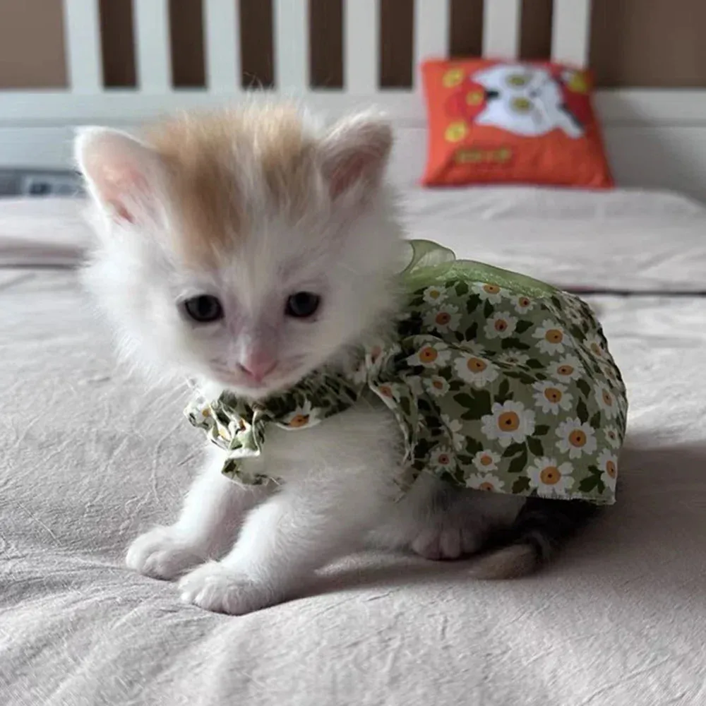 Sphynx Cat Summer Dress - Cotton Suspender Skirt with Floral Pattern